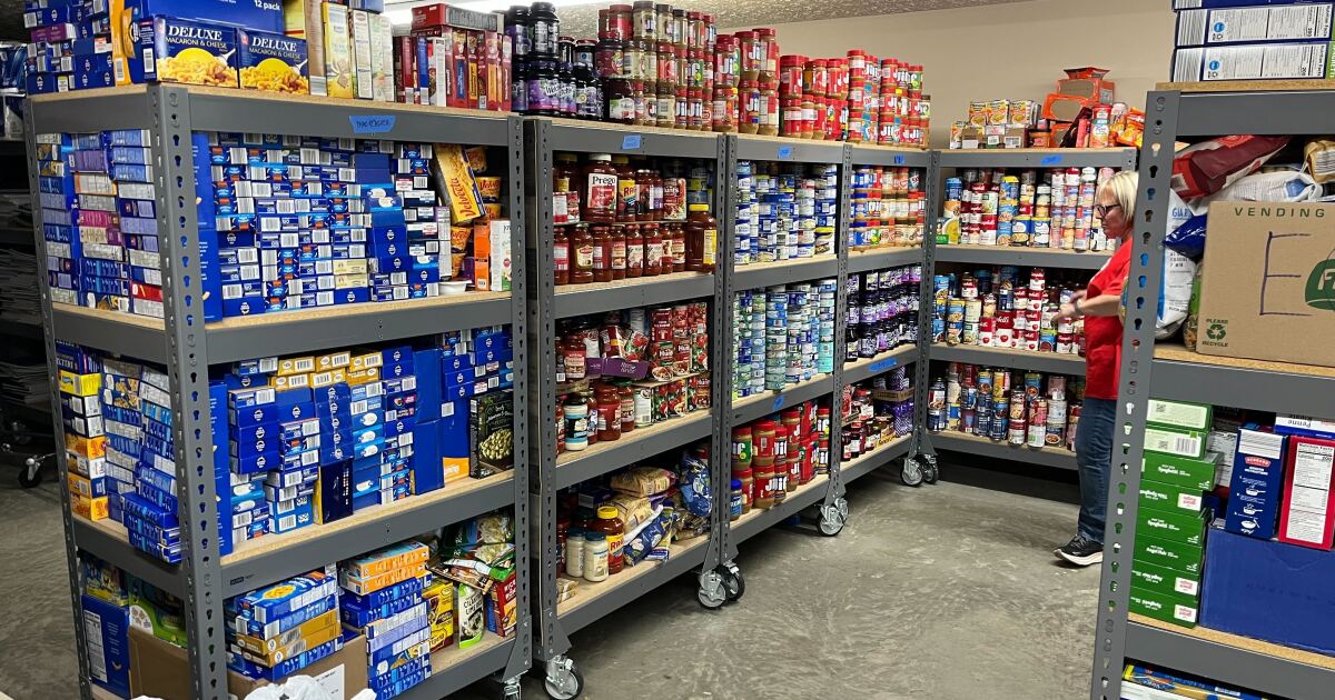 Lions Club, North Ridgeville students help nonprofit fill its shelves [Video]