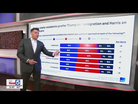 New polling shows voters’ vibes on Harris, Trump, and the issues [Video]