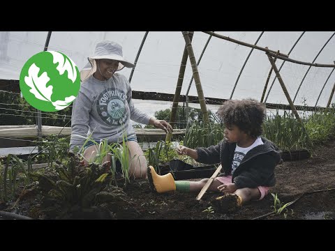 Harvesting Hope: Sowing Seeds of Change on the Martin Family Farm [Video]