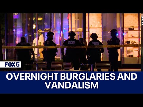 DC police boost presence after overnight burglaries and vandalism [Video]