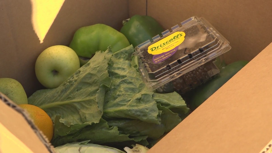 St. Louis Co. Library is giving away fresh produce in September [Video]