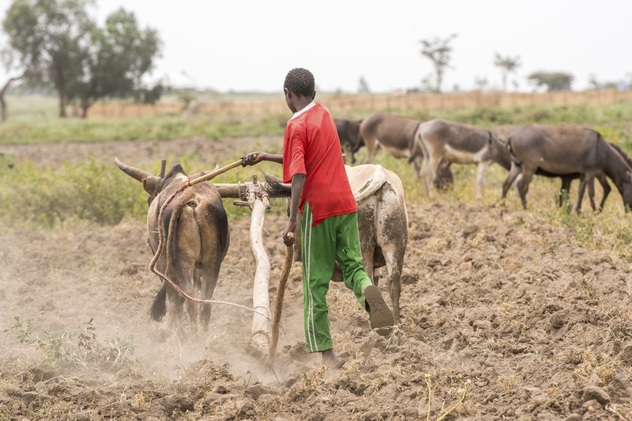 Invest in Rural Economies Today for a Stable World Tomorrow | Opinion [Video]