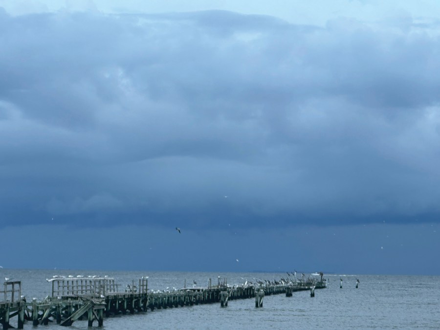 Louisiana leaders give updates on Hurricane Francine [Video]