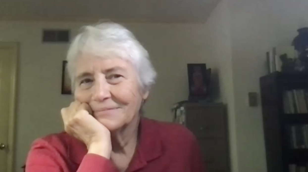 Nancy L. Bieber Author Chat [Video]