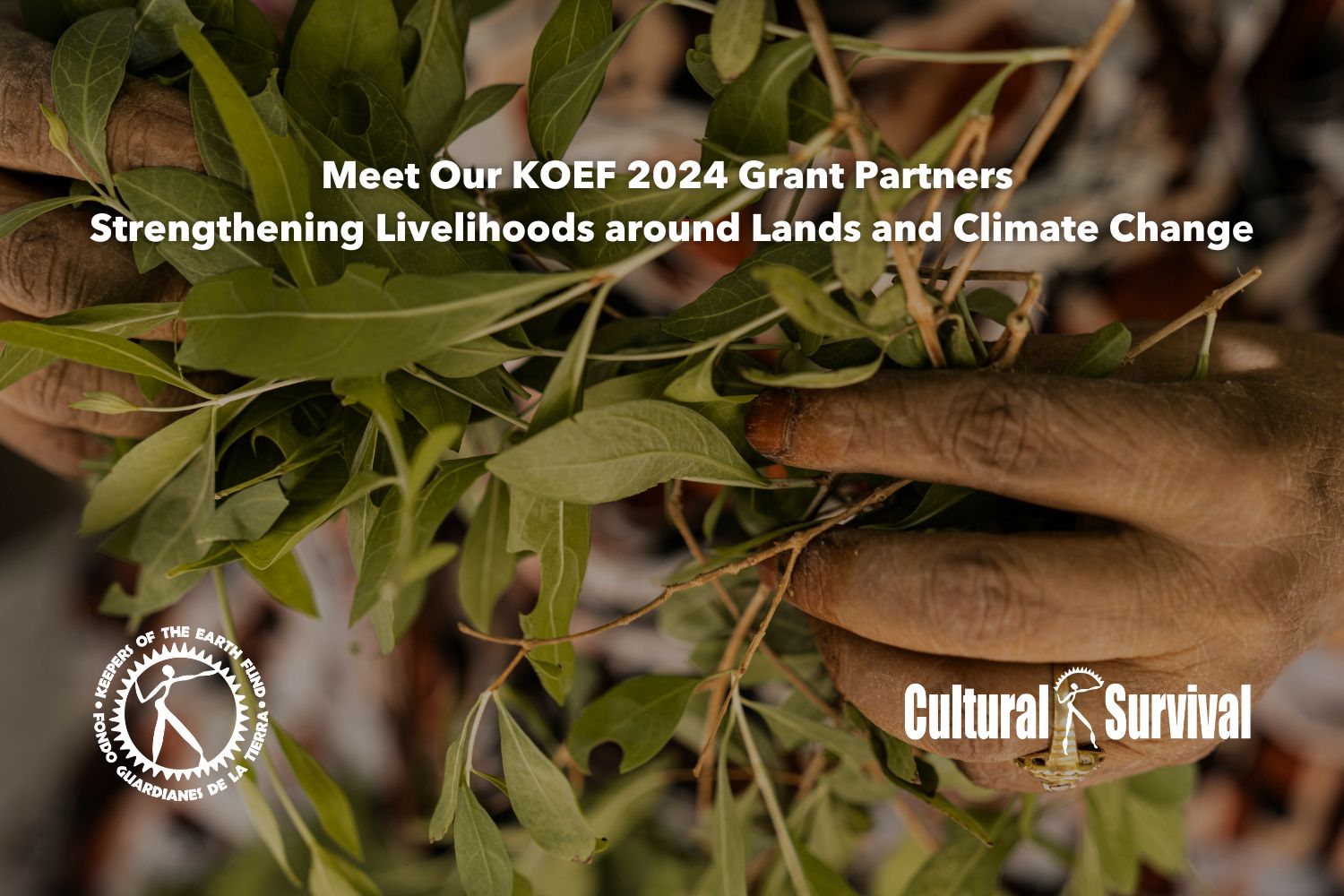 Meet Our KOEF 2024 Grant Partners Strengthening Livelihoods around Lands and Climate Change [Video]