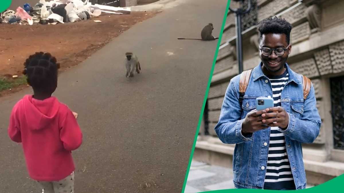 Kiddo Runs Away From Monkeys With Her Food, Netizens Laugh: I Blame Umama [Video]