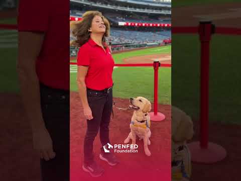 PenFed Foundation Honors Veterans and First Responders at Washington Nationals Game on 9/11 [Video]