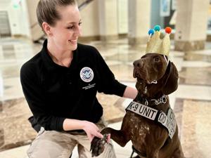 Barni the German Shorthaired Pointer crowned cutest bomb-sniffing dog [Video]