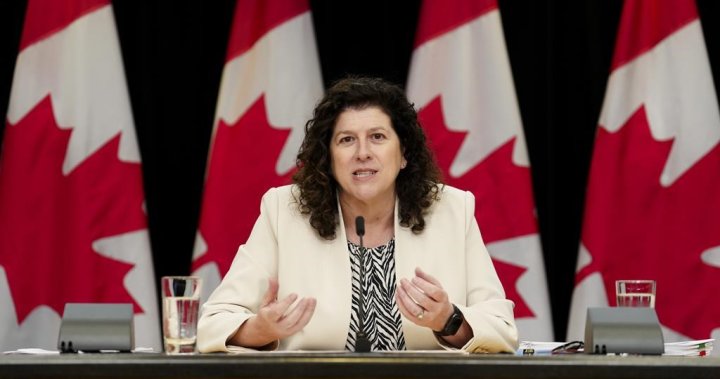 Auditor general considering probe into Indigenous procurement program – National [Video]