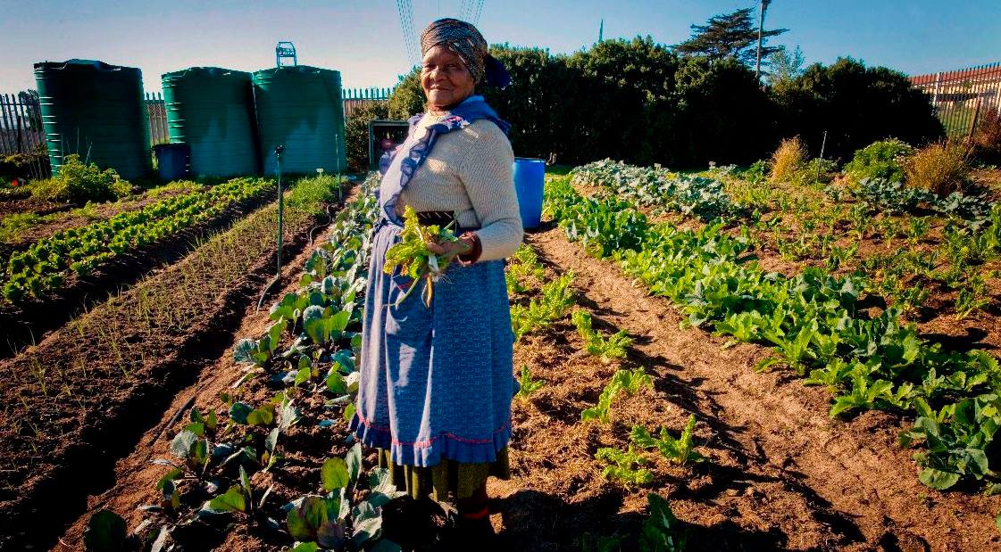 R3 Million Boost in Rural Farming Empowers South Africans! [Video]