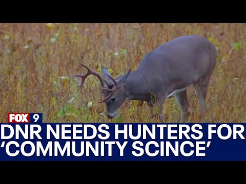 DNR asks hunters to contribute ‘community science’ [Video]