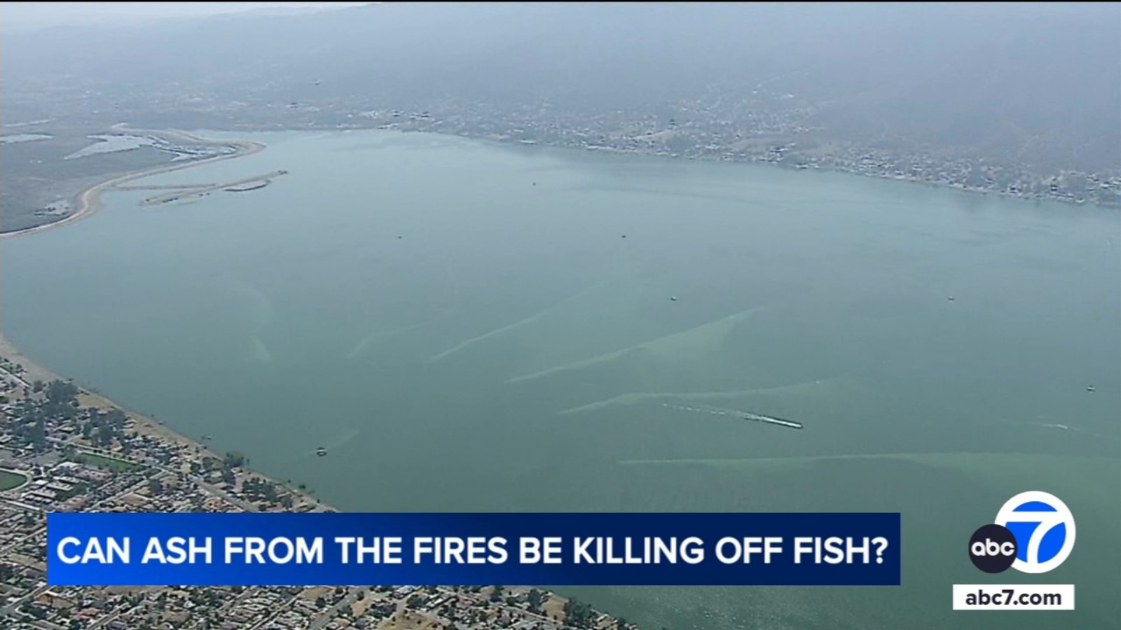 Thousands of fish dying off in Lake Elsinore amid Airport Fire; biologists monitoring water [Video]