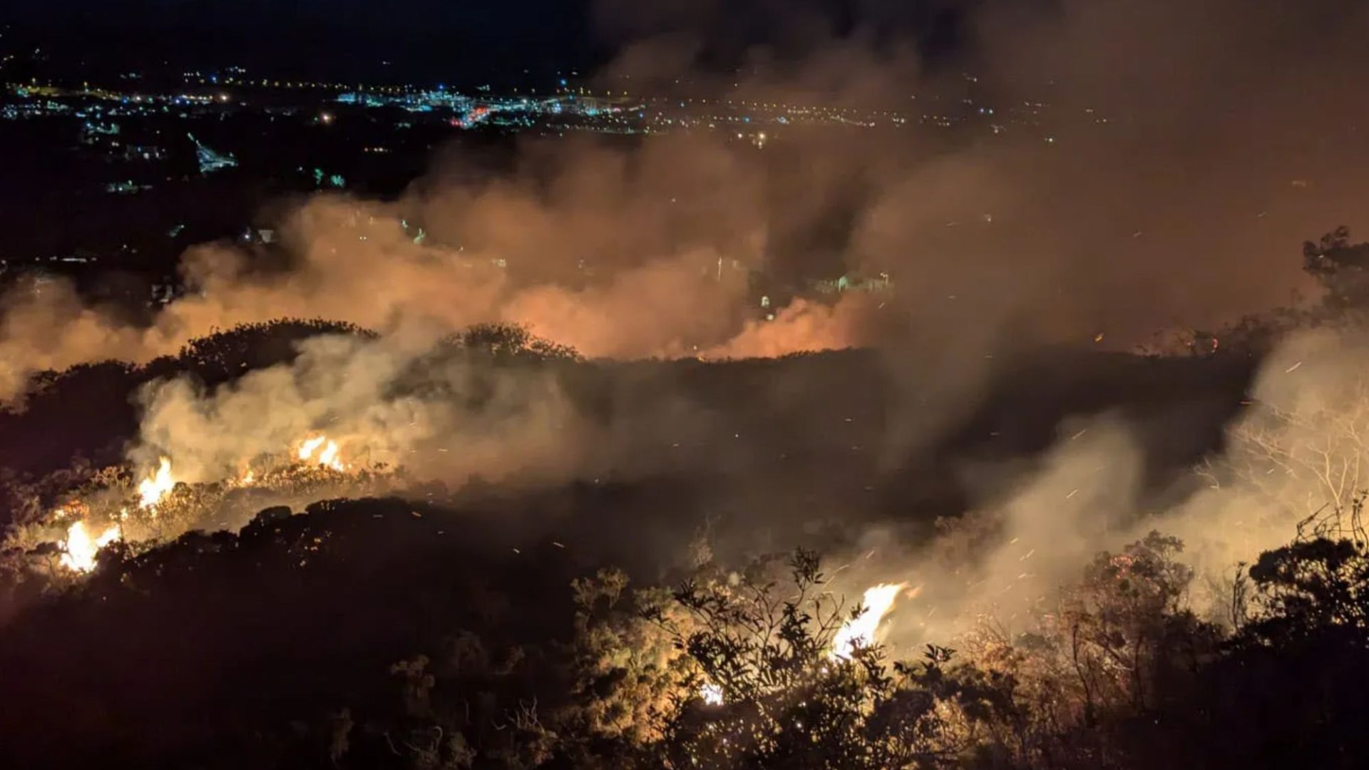 Firefighters attend scene of large wildfire at popular walking route in Dun Laoghaire amid ‘strong breeze’ [Video]