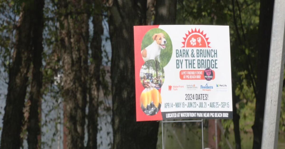 ‘Bark and Brunch by the Bridge’ at Waterfront Park highlights urgent need for adoptions | Local News [Video]