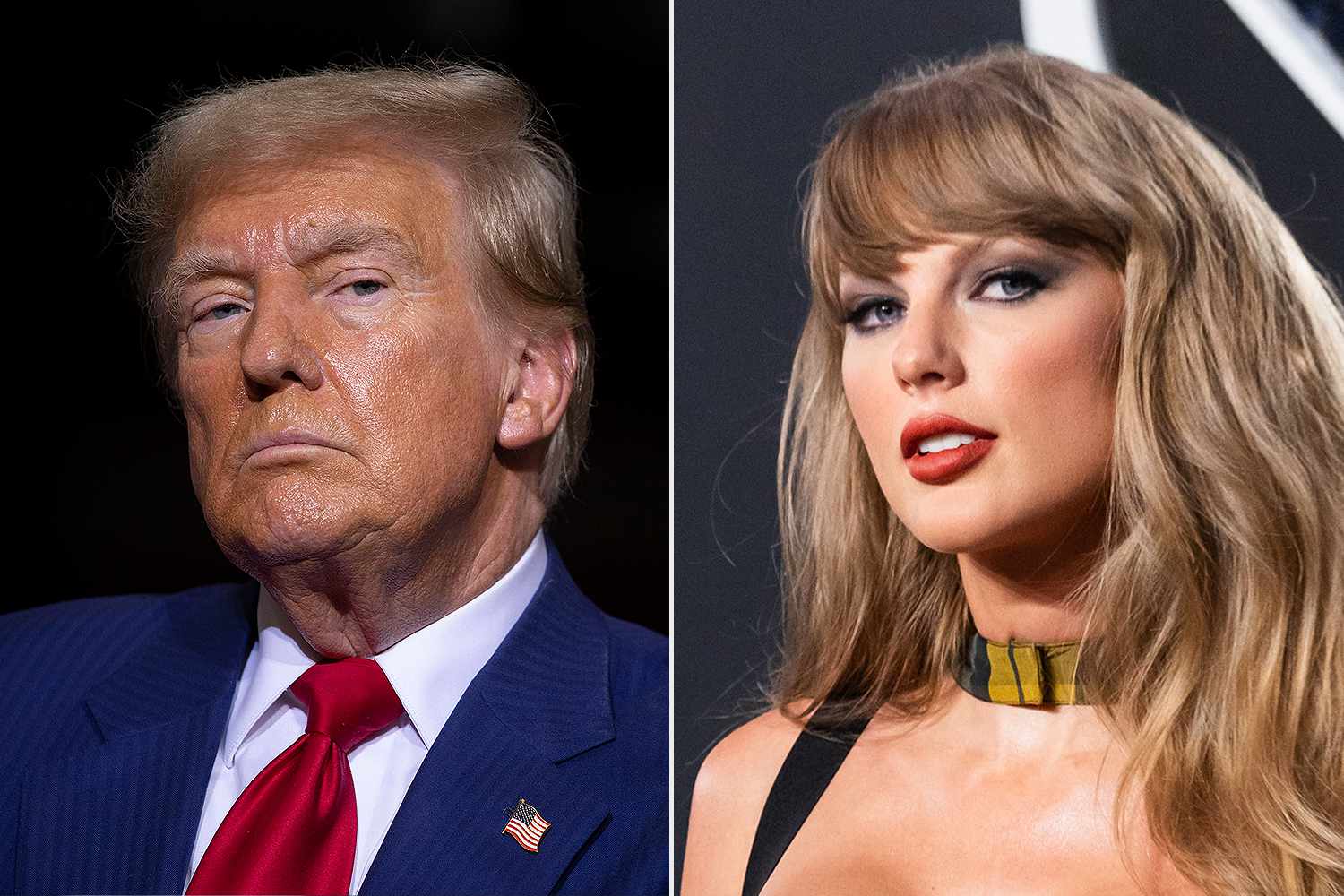 Donald Trump Says He ‘Hates’ Taylor Swift After She Endorses Kamala Harris [Video]