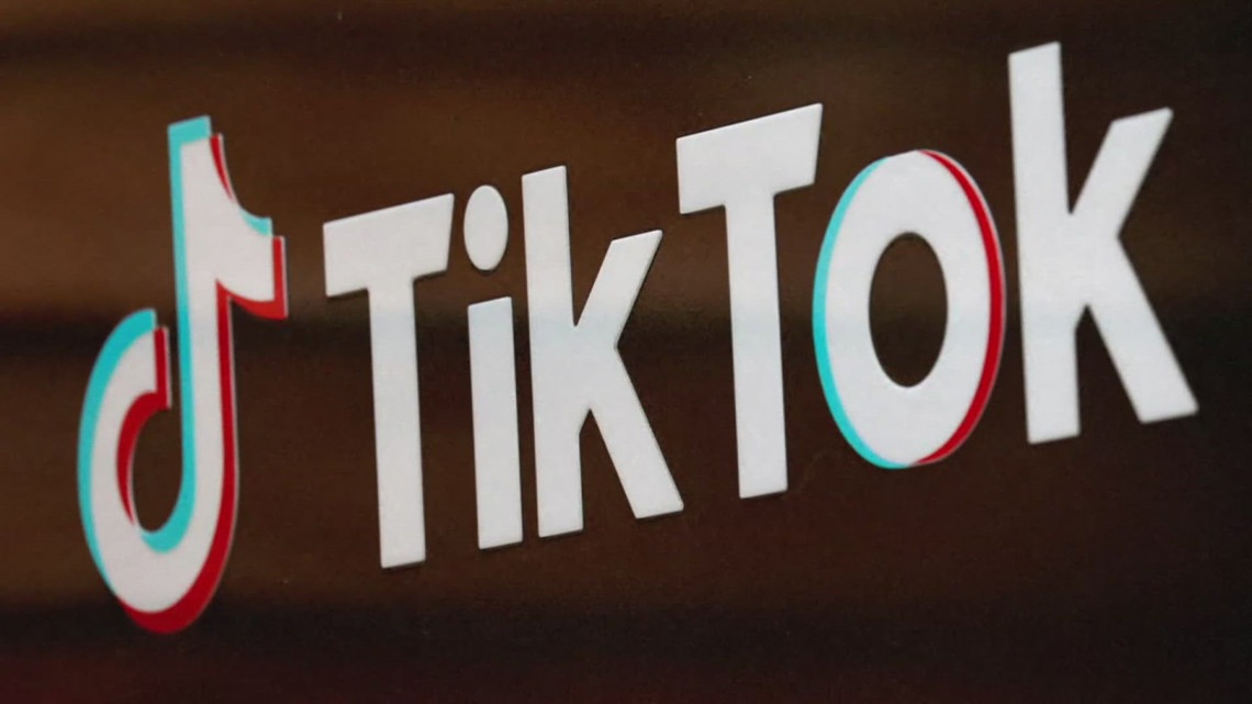 TikTok fights back against proposed ban on the app; Latest updates [Video]