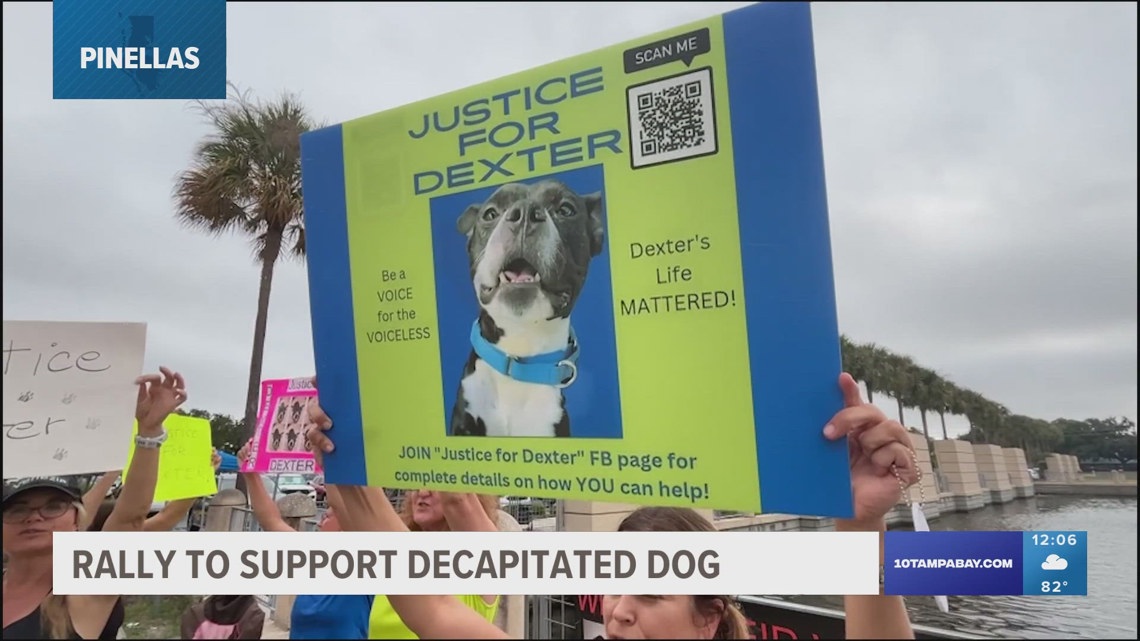 Community members to support decapitated dog in Pinellas County [Video]