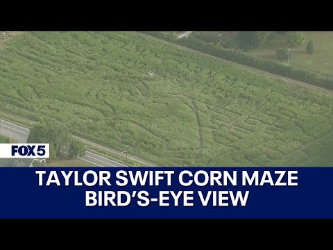 Taylor Swift corn maze Maryland bird’s-eye view. [Video]