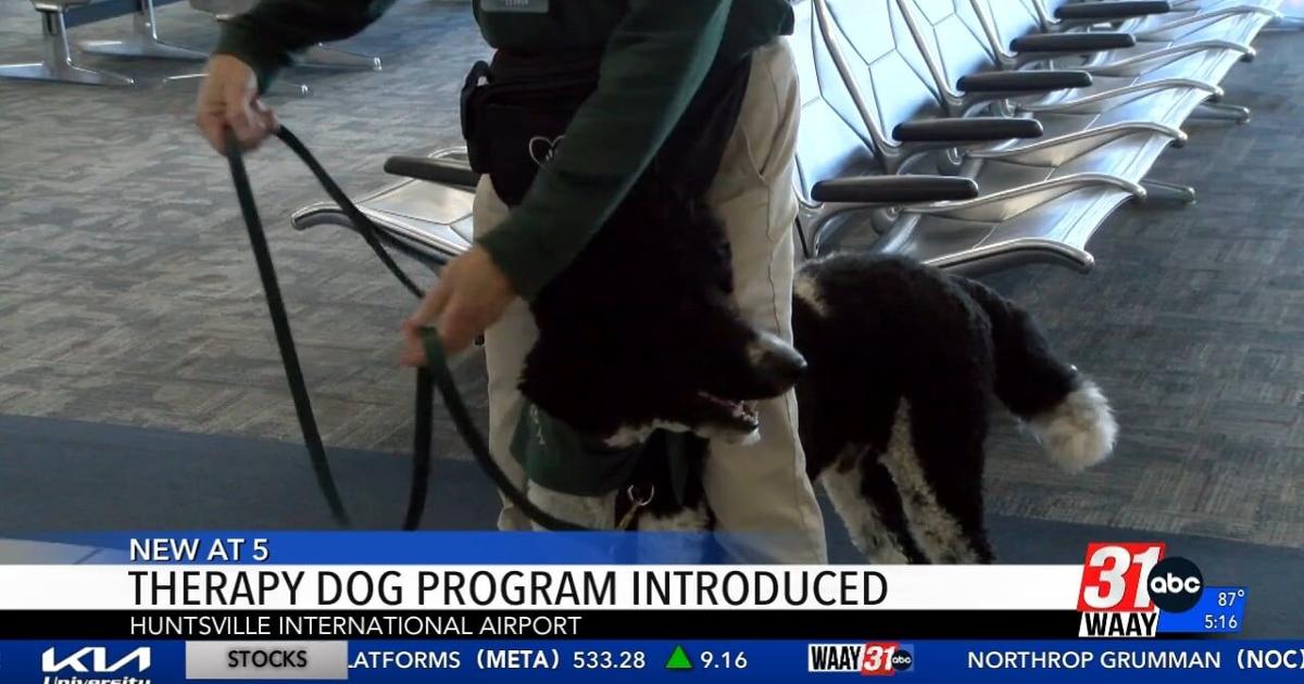 Paws & planes: the furry helpers bringing smiles to Huntsville International Airport | News [Video]