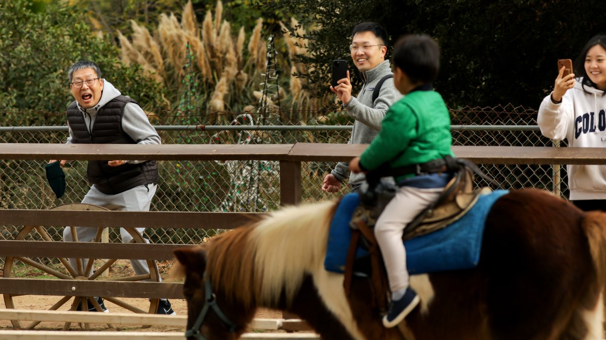 What will replace Pony Rides at Griffith Park?  NBC Los Angeles [Video]