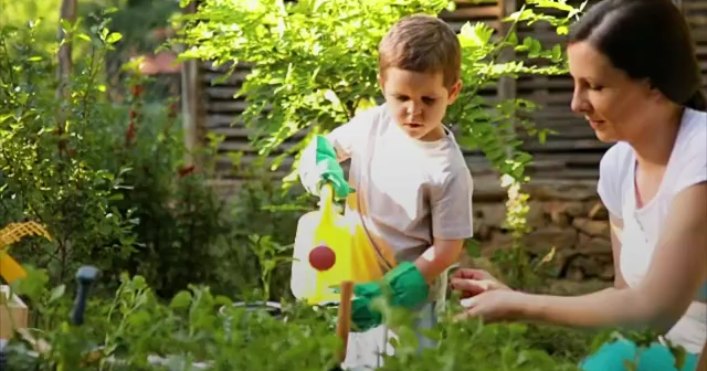 Farm Days begin Saturday at Lottie J Farm [Video]