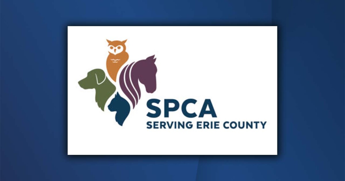 SPCA Serving Erie County hosts its annual ‘Tale for Two’ reading program [Video]