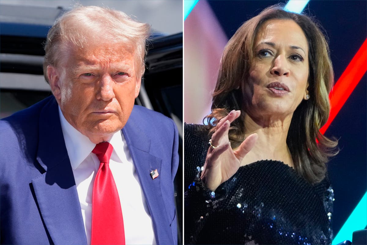 Trump claims only consequential presidents get shot at as Harris slams hateful migrant conspiracy: Live [Video]