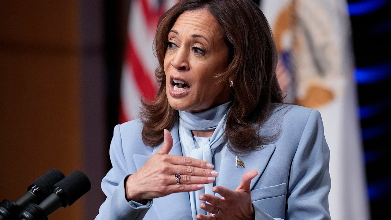 Harris admits ‘very few’ company engage in price-gouging in word salad DC speech [Video]