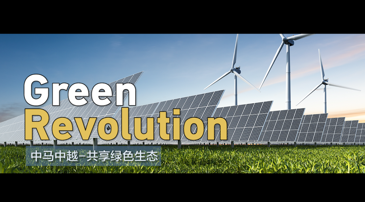 Green Revolution – CGTN [Video]