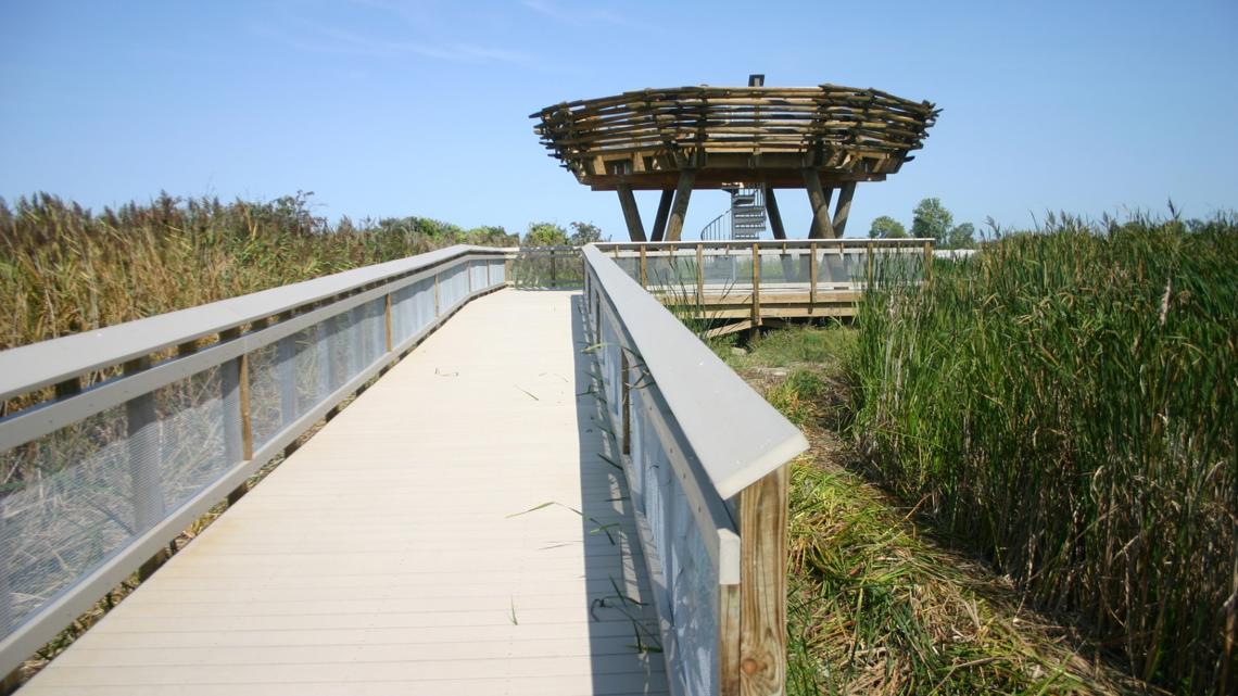 Maumee Bay park boardwalk reopens after repairs [Video]