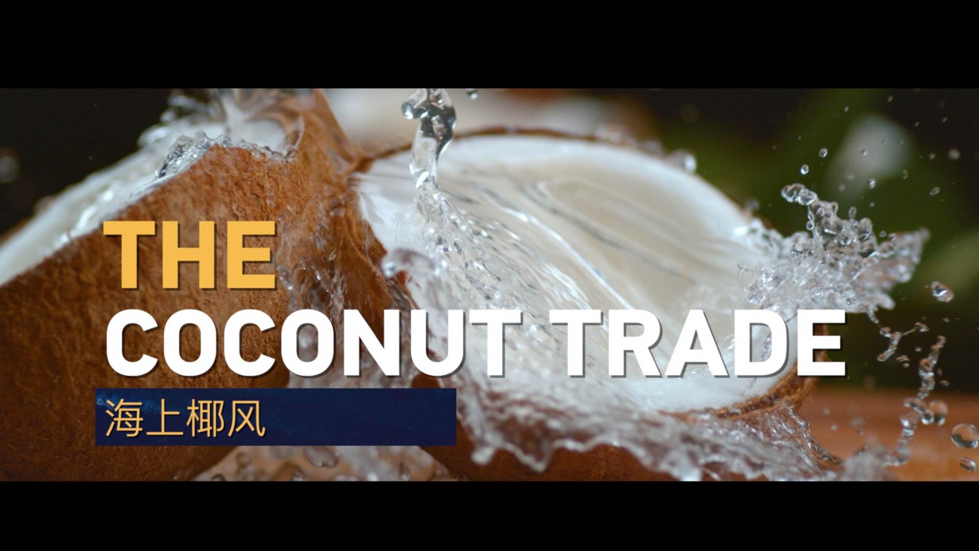 The Coconut Trade – CGTN [Video]