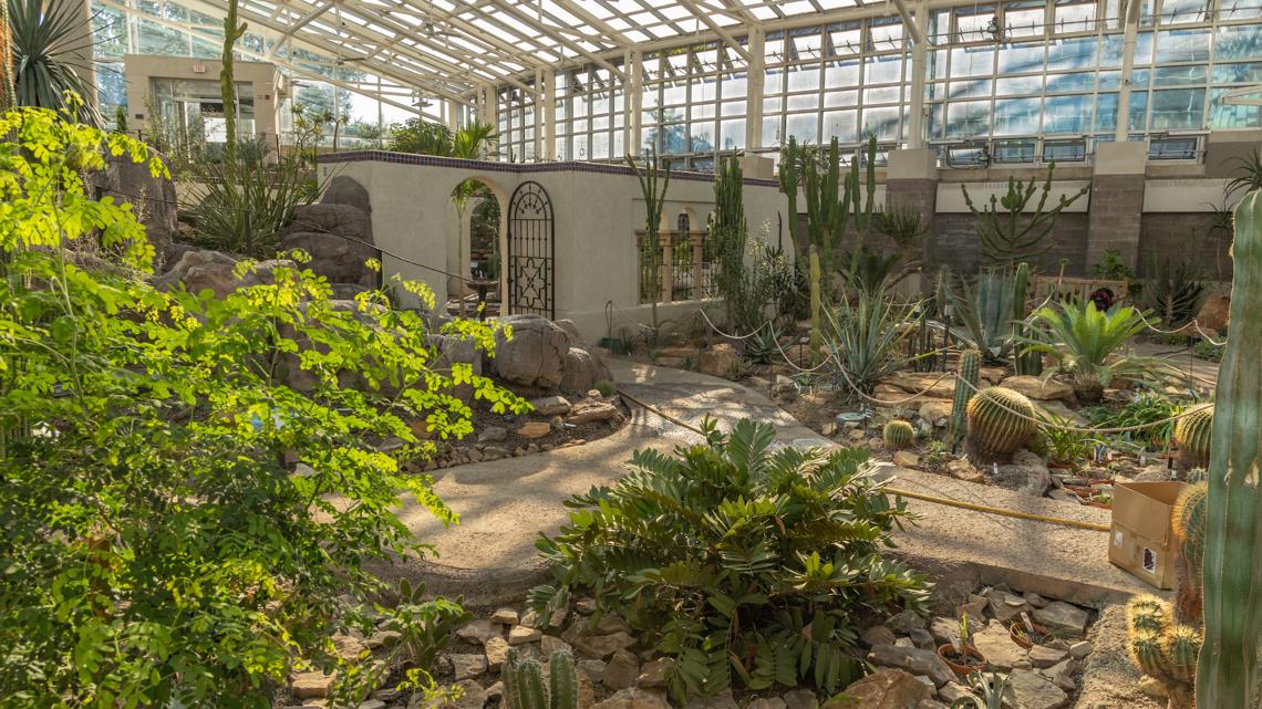 MoBOT opening new house for expansive desert plant collection [Video]