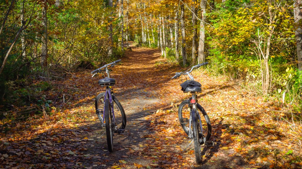 Mackinac Island, Michigan is No. 2 Best Fall Travel spot: USA Today  NBC Chicago [Video]