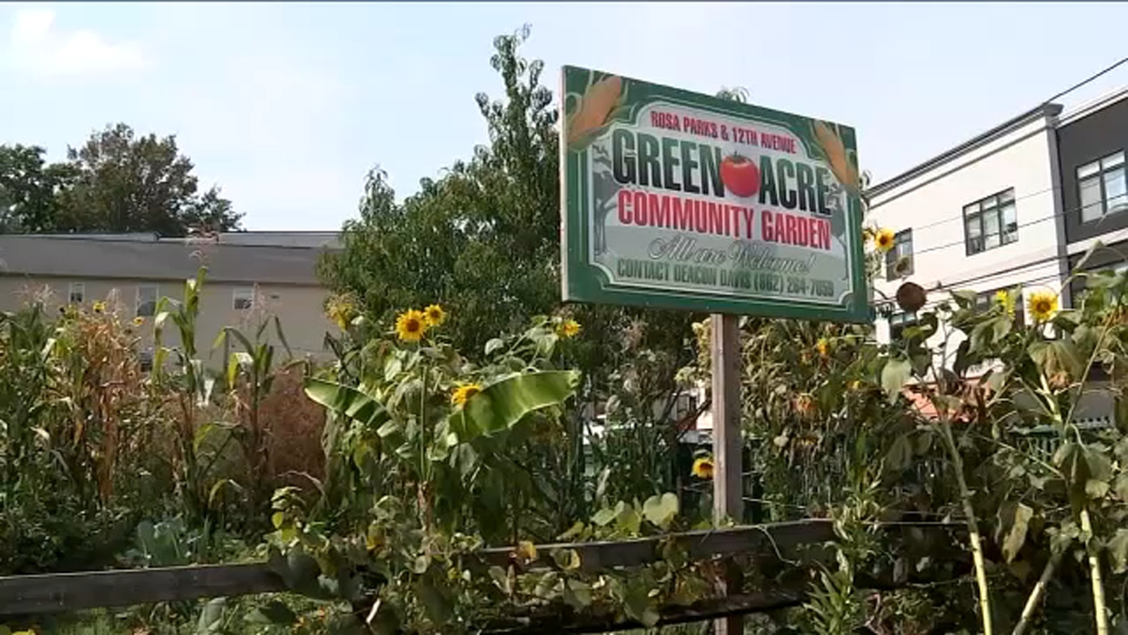 Hunger Action Month: Community leader honored for efforts to fight food insecurity in Paterson, New Jersey [Video]