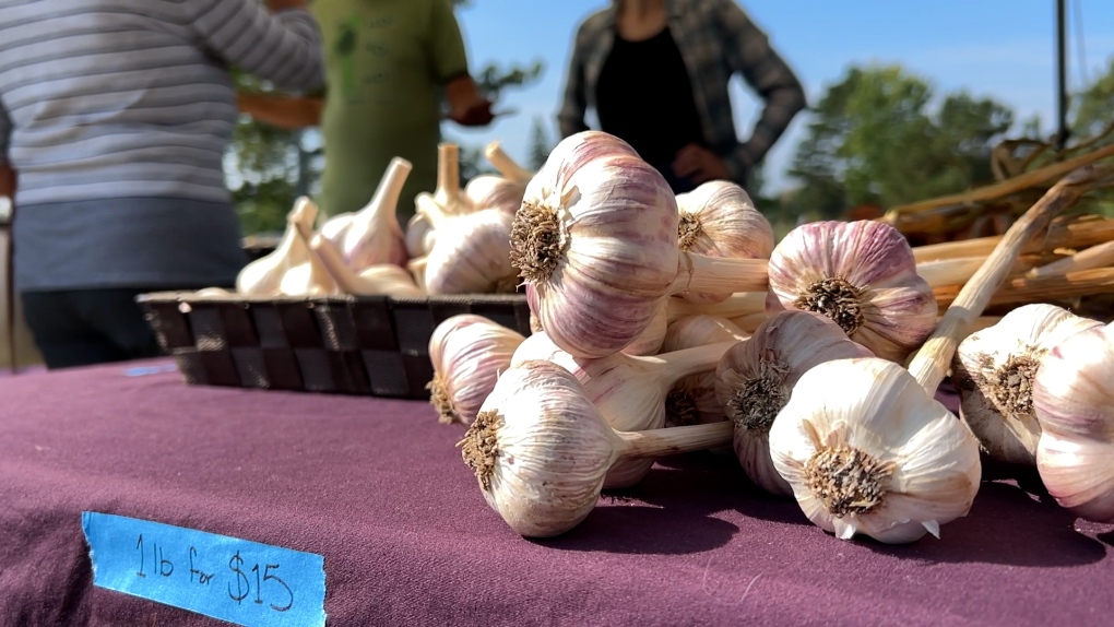 Eastern Ontario Garlic Festival: 10th annual event takes place in Cornwall, Ont. [Video]