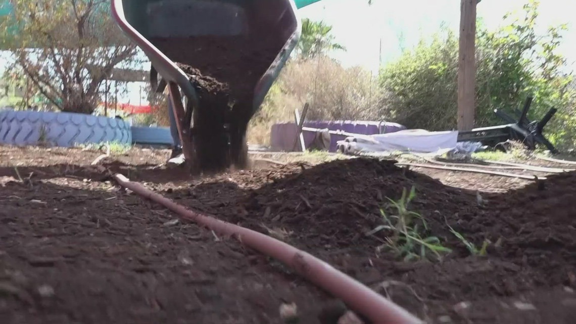 Women-led urban garden brings food security to Phoenix [Video]