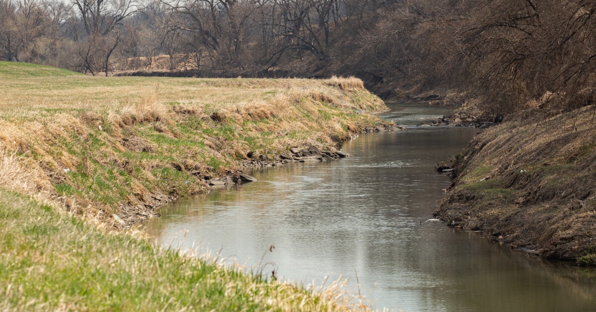 Want to reduce water pollution in Tennessee? This grant could help. [Video]