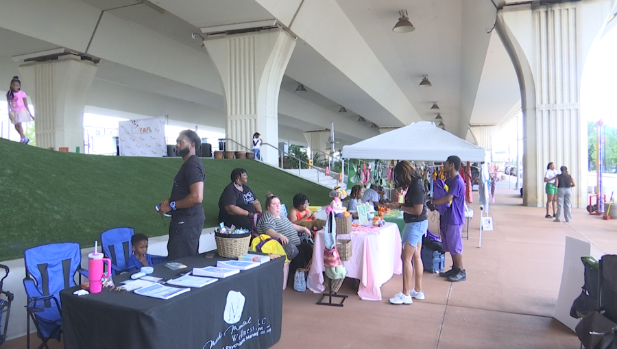 Community Teen Summit Showcases mental health resources for students [Video]