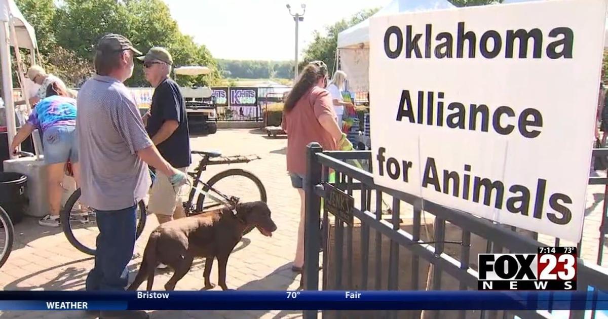 Video: Oklahoma Alliance for Animals hosts animal adoption event and festival | News [Video]