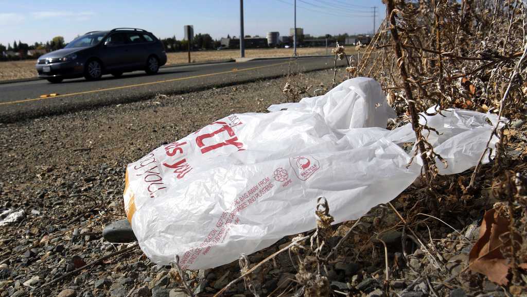 California governor signs law banning all plastic shopping bags at grocery stores [Video]