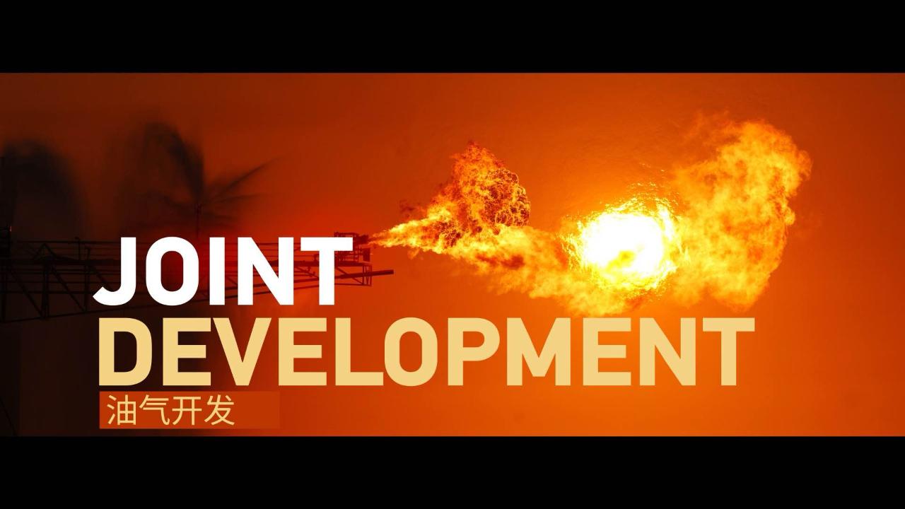 Joint Development – CGTN [Video]