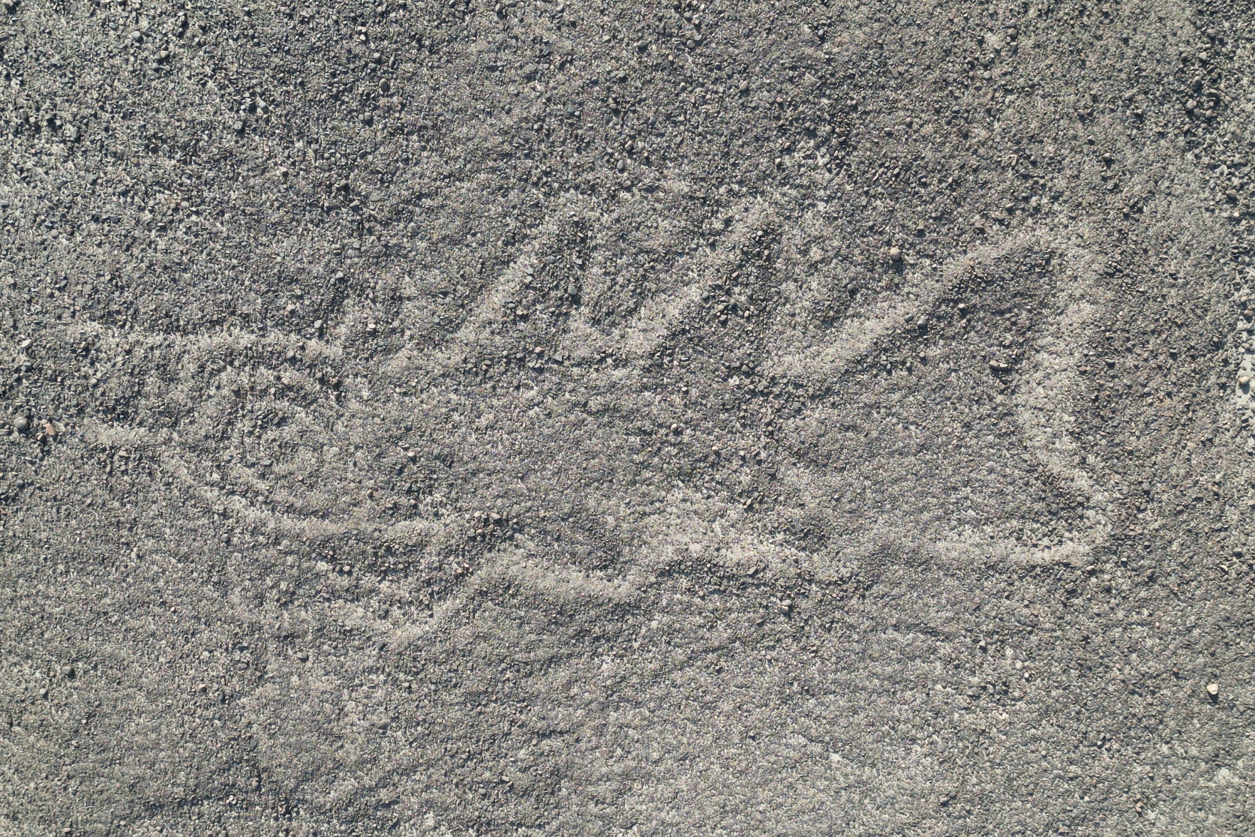 Hundreds of Mysterious Ancient Nazca Land Artworks Found with Aid of AI [Video]