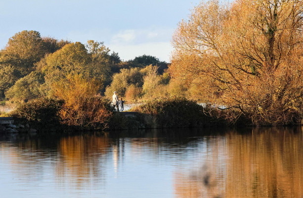 Do you leaf peep?  TheJournal.ie [Video]