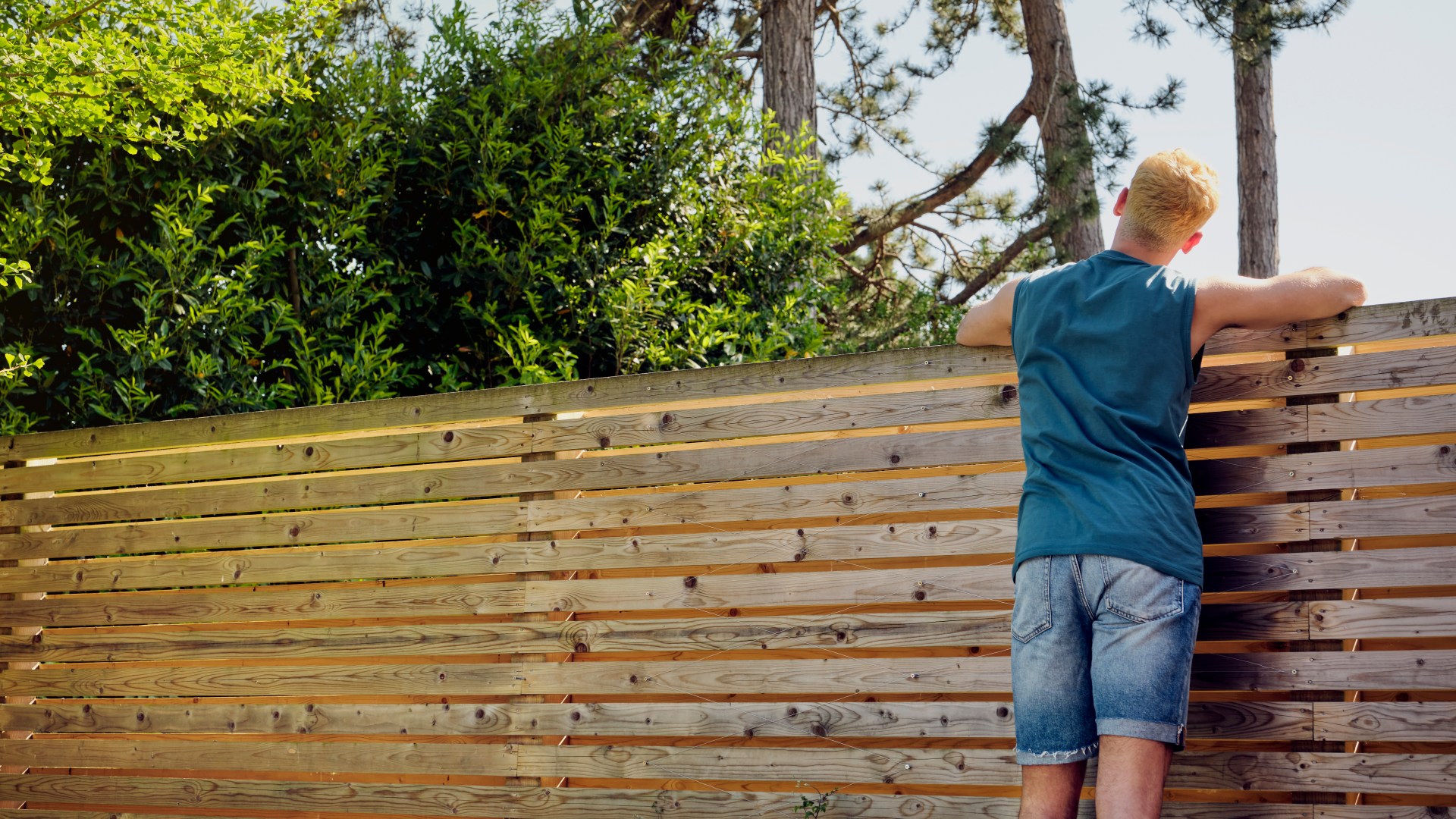 My garden is overlooked by my neighbour’s house & my fence gives no privacy, my 7.99 solution is recommended by pros [Video]