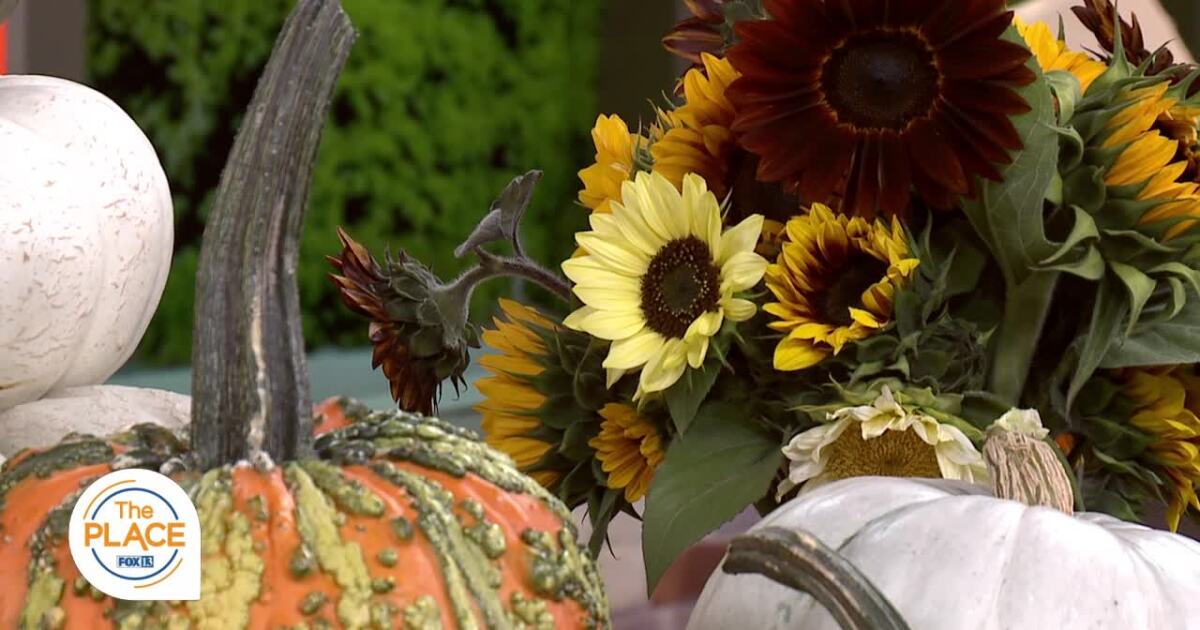 You’ll absolutely want to visit Cross E Ranch’s Fall Festival this year [Video]