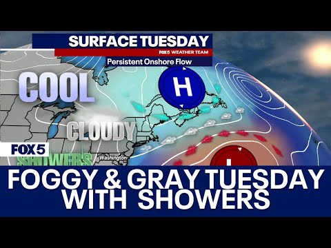 Showers and cooler temperatures expected across DC region Tuesday [Video]