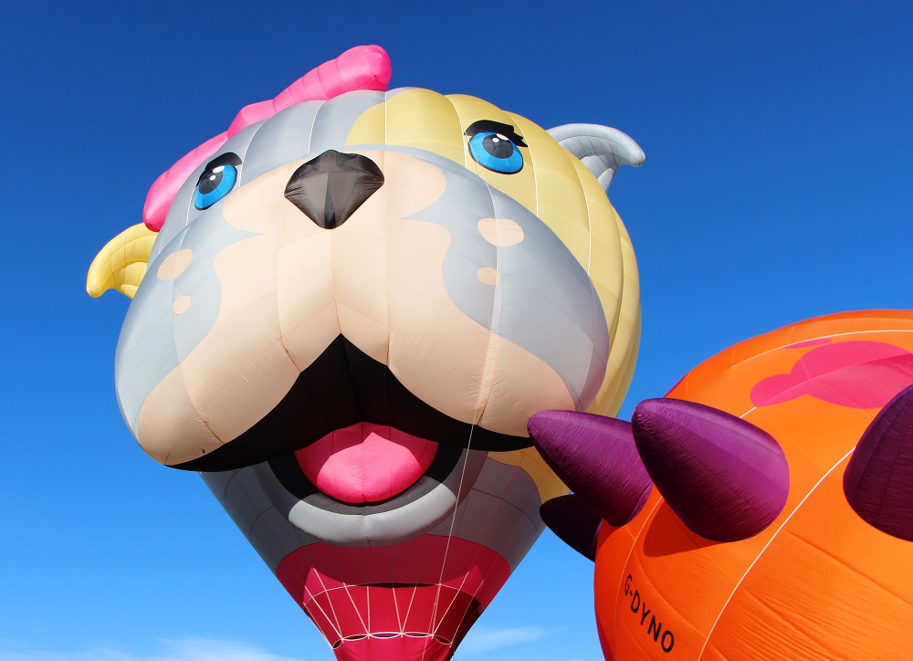 High River’s Balloon Festival cautions attendees of ticket scam – OkotoksOnline.com [Video]