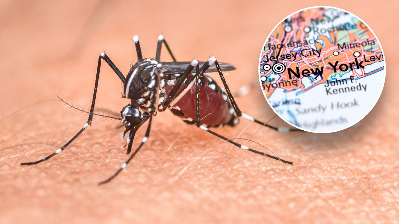 New York resident dies from mosquito-borne disease, as experts warn of widening risk [Video]