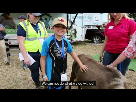 National Grid Renewables Hosts “Unbridled Potential” Community Event to Celebrate Largest Solar Project in the State of Kentucky [Video]