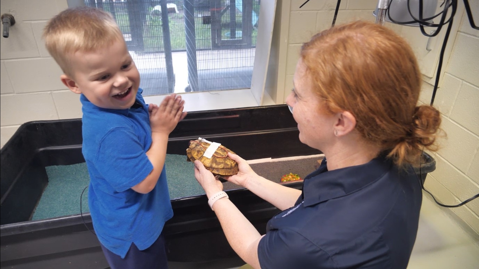 Boy with leukemia bonds with sick animals at Houston Zoo [Video]